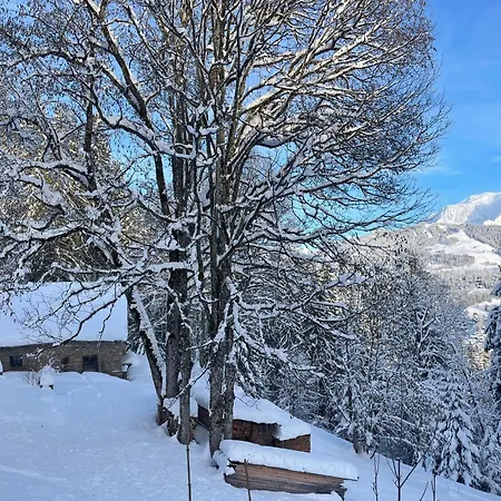 Les Du Mont Blanc Apartment *