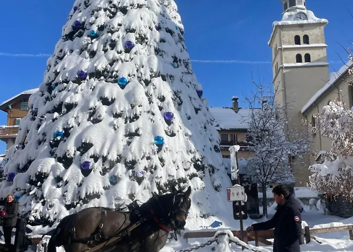 Les Du Mont Blanc Apartment Megeve