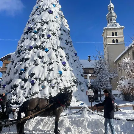 Les Du Mont Blanc Appartamento Megève