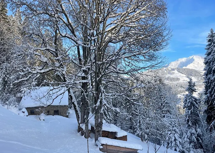 Les Du Mont Blanc Lägenhet *